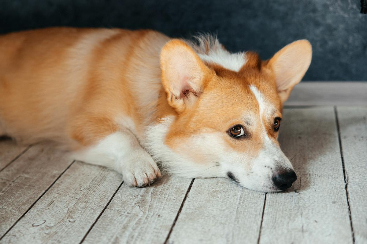 Season'21|august 20. Свадебный и семейный фотограф Москва Рязань Елена Клюева