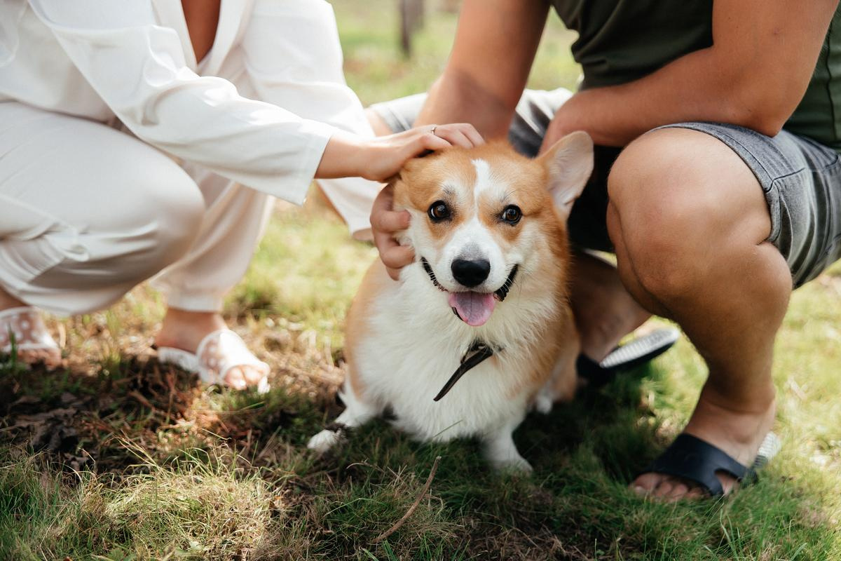 Season'21|august 20. Свадебный и семейный фотограф Москва Рязань Елена Клюева