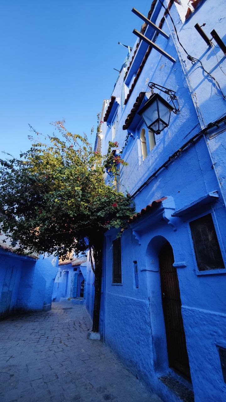 Марокко. Кибернетика и гармония