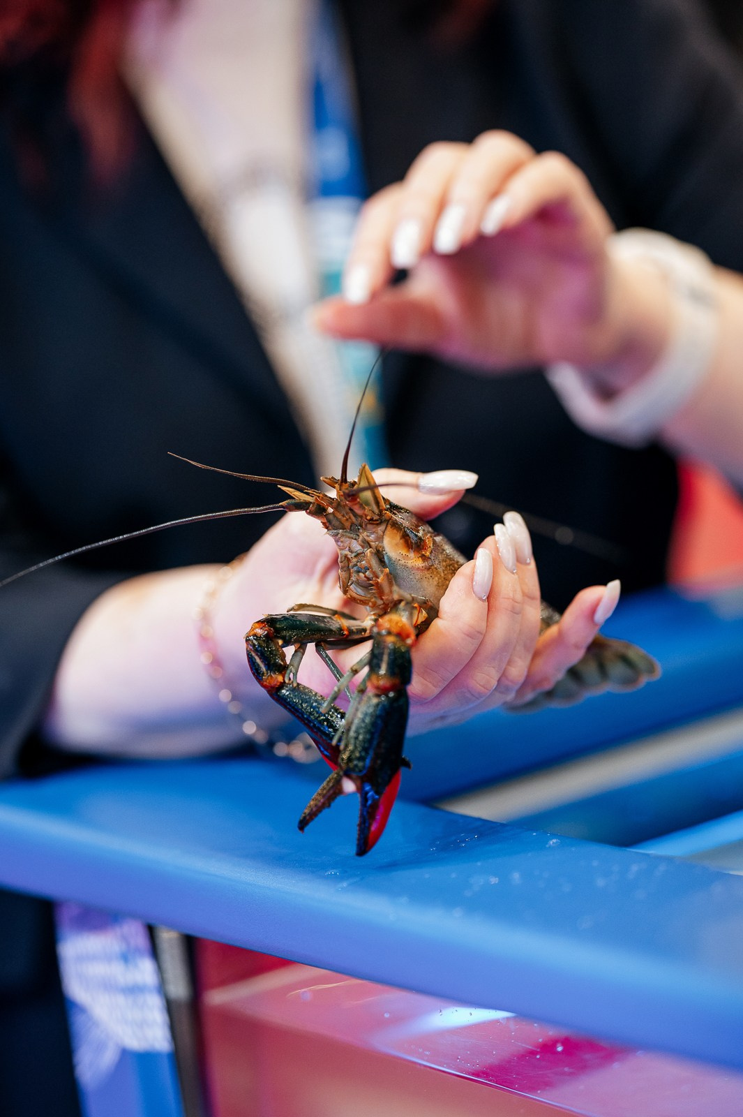 Рыбный форум. Фотограф Дмитрий Сермяжко