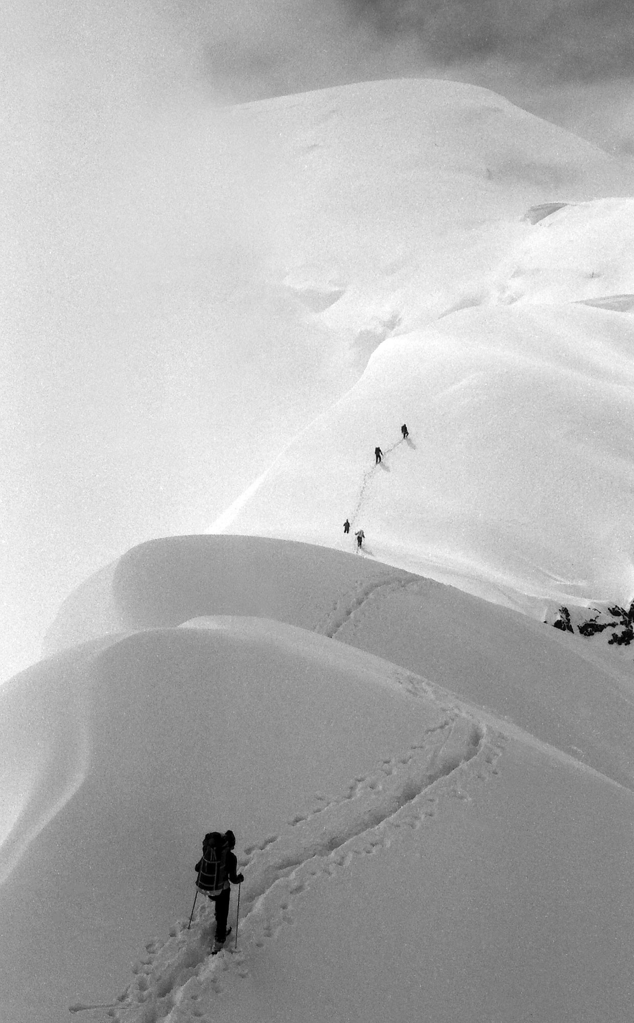 Свадебный фотограф в Геленджике