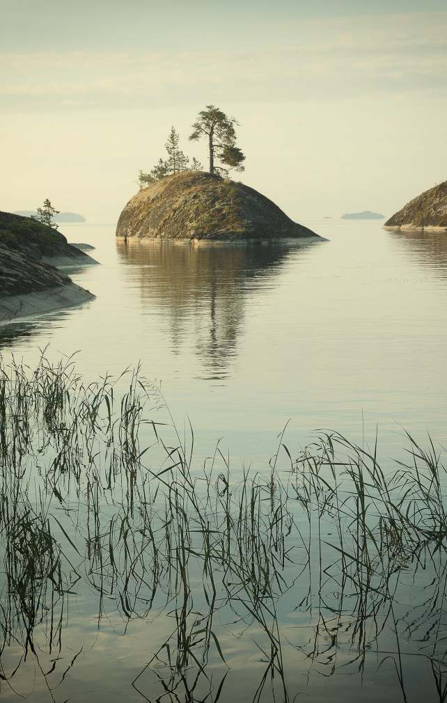 Пейзажи. Предметный фотограф в Москве Вячеслав Тимошенко