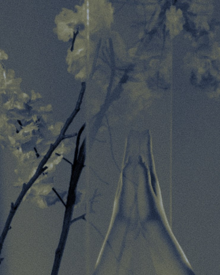 Diana. Фотограф для брендов в Санкт-Петербурге — Анастасия Галина