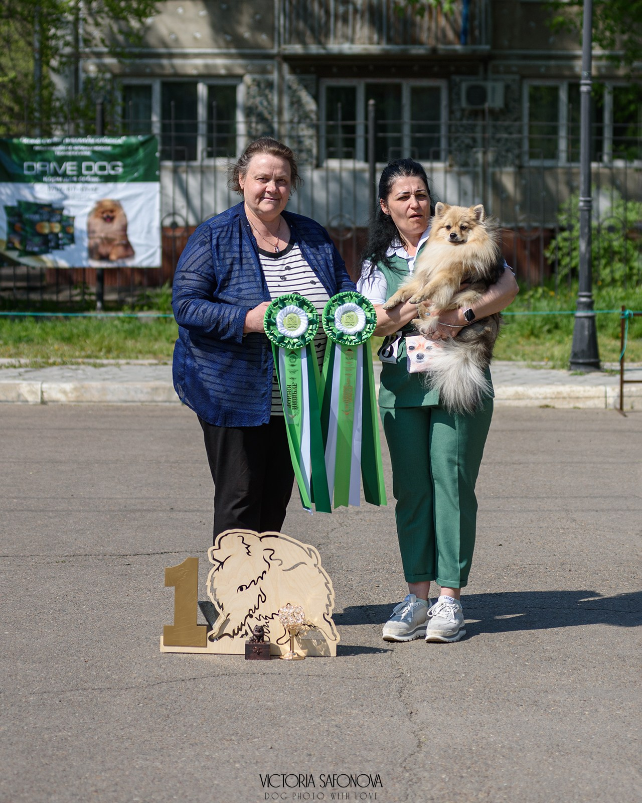 19 мая 2024 Благовещенск. Монопородная выставка шпицев. Фотограф анималист Благовещенск. Сафонова Виктория