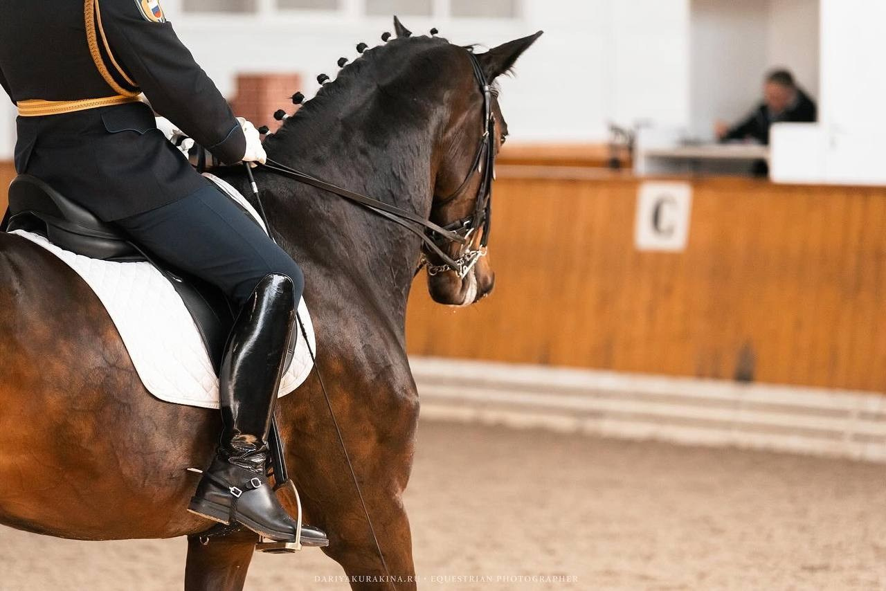 Открытые соревнования по выездке в КСК «Конкорд». Конный фотограф Куракина Дарья • Фотосессии с лошадьми