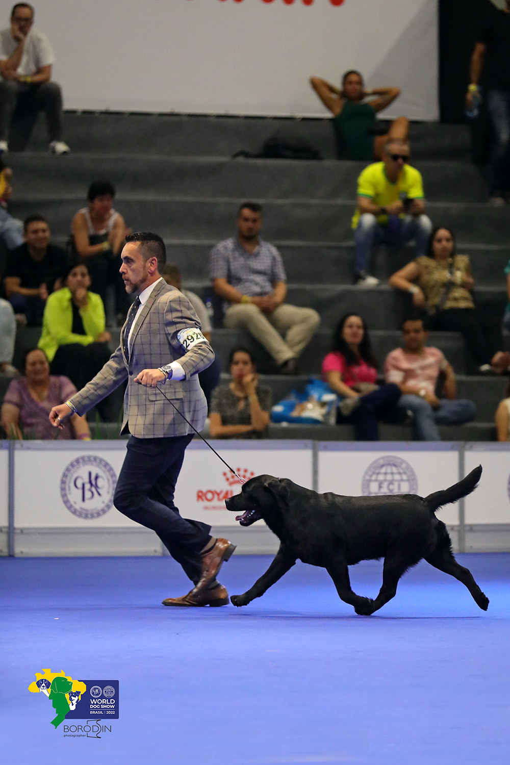 08-11.12.2022 WDS Brazil. Ph Dmitrii Borodin