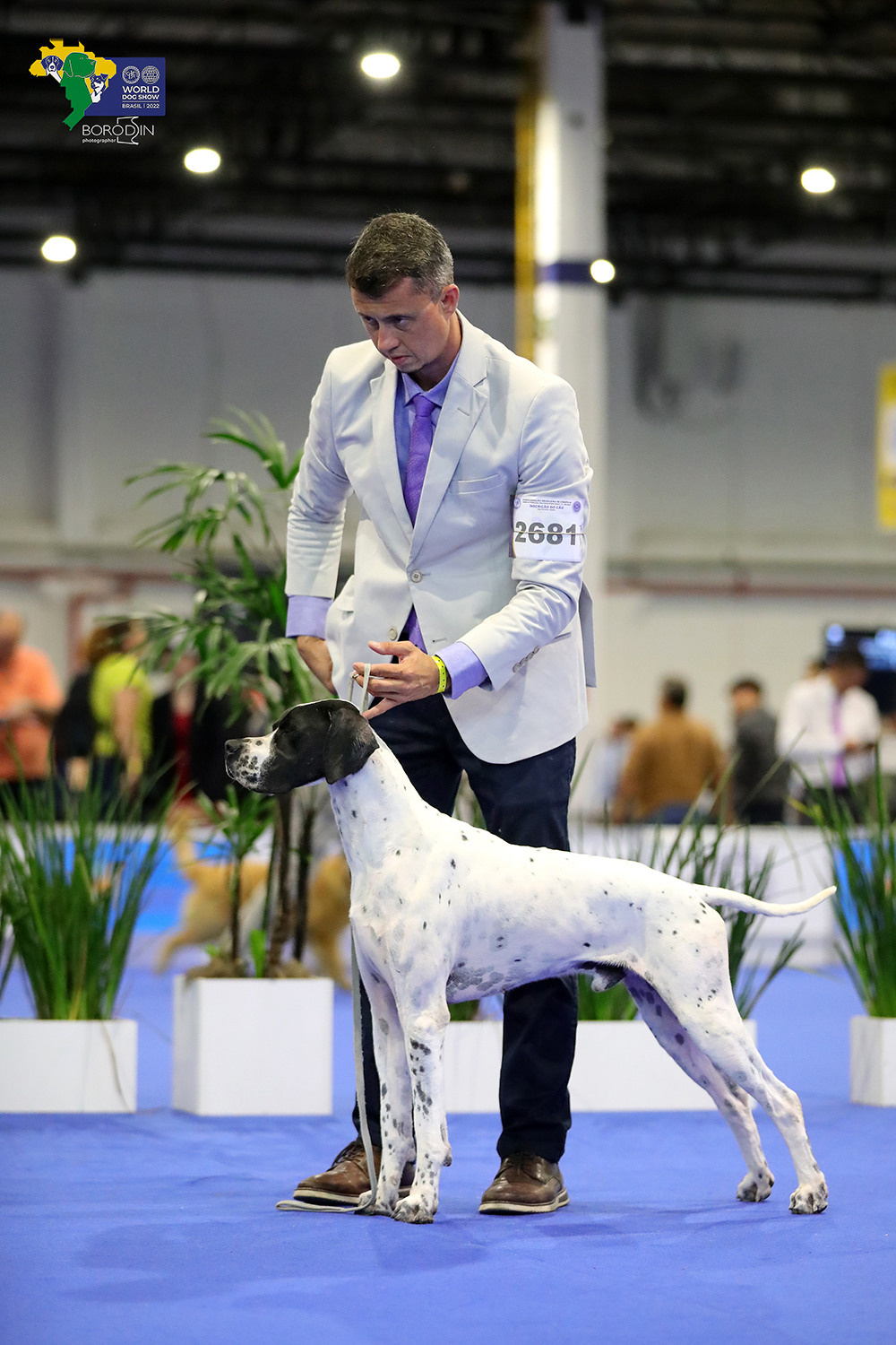 08-11.12.2022 WDS Brazil. Ph Dmitrii Borodin