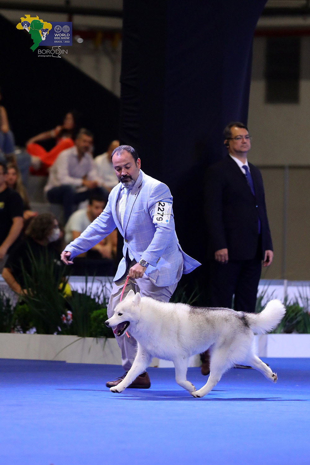 08-11.12.2022 WDS Brazil. Ph Dmitrii Borodin