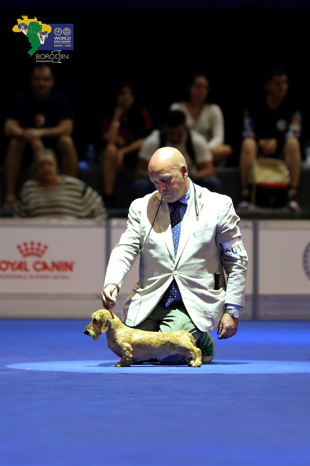 08-11.12.2022 WDS Brazil. Ph Dmitrii Borodin