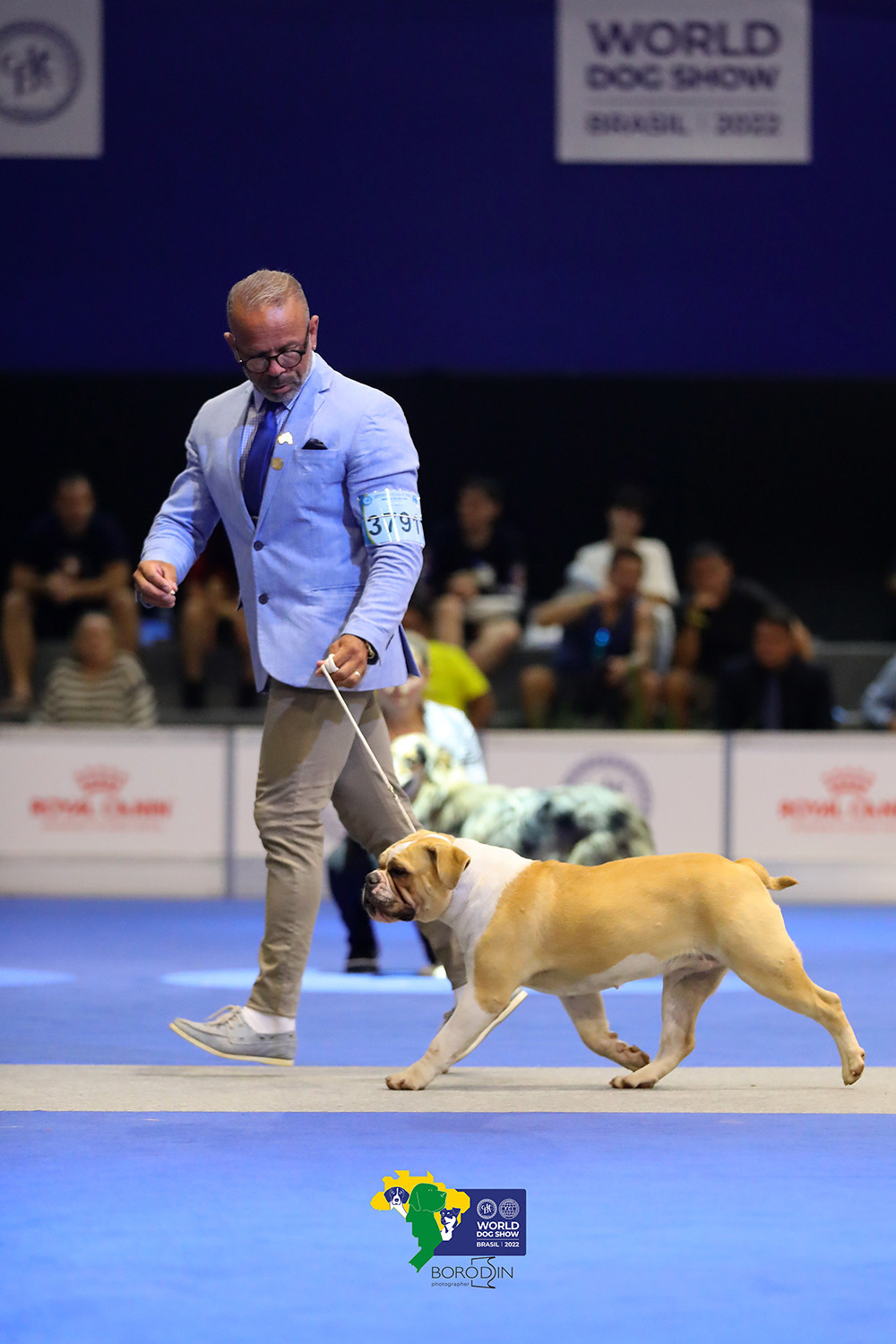 08-11.12.2022 WDS Brazil. Ph Dmitrii Borodin