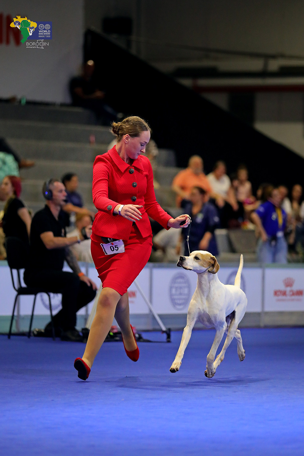 08-11.12.2022 WDS Brazil. Ph Dmitrii Borodin