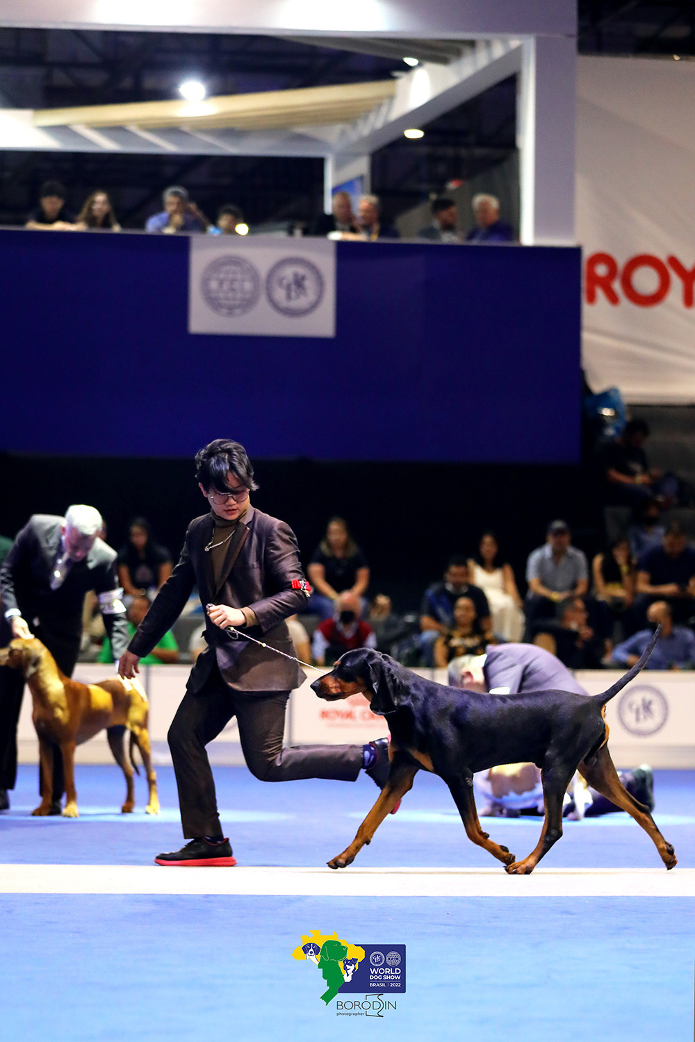 08-11.12.2022 WDS Brazil. Ph Dmitrii Borodin