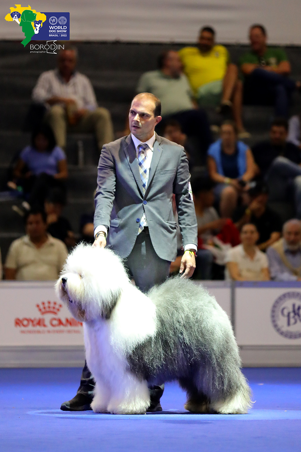 08-11.12.2022 WDS Brazil. Ph Dmitrii Borodin