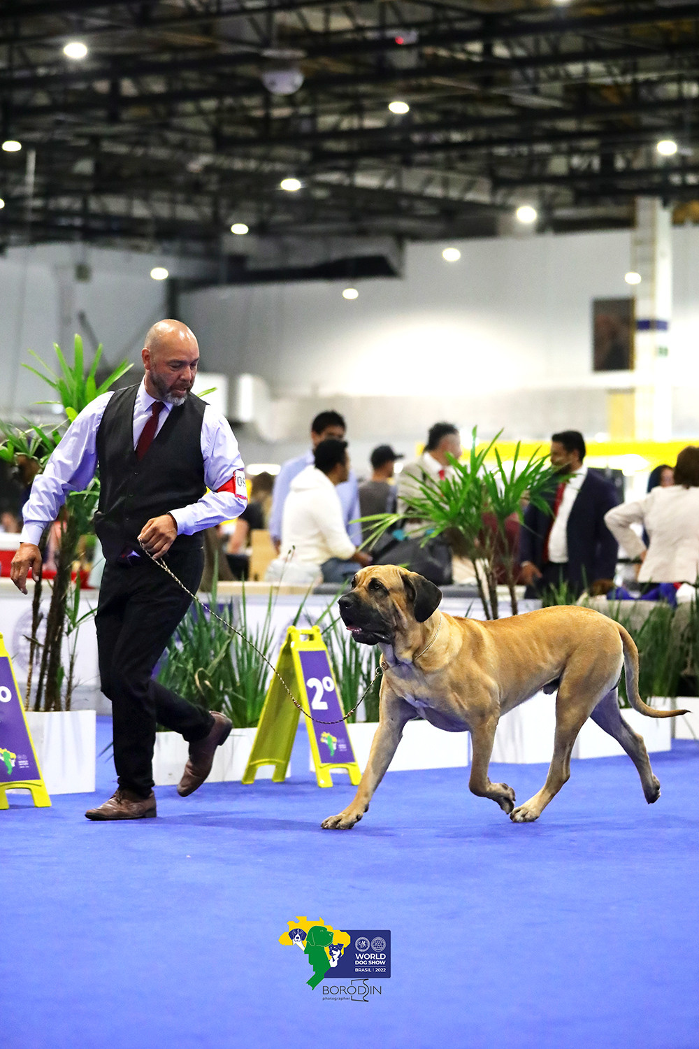 08-11.12.2022 WDS Brazil. Ph Dmitrii Borodin