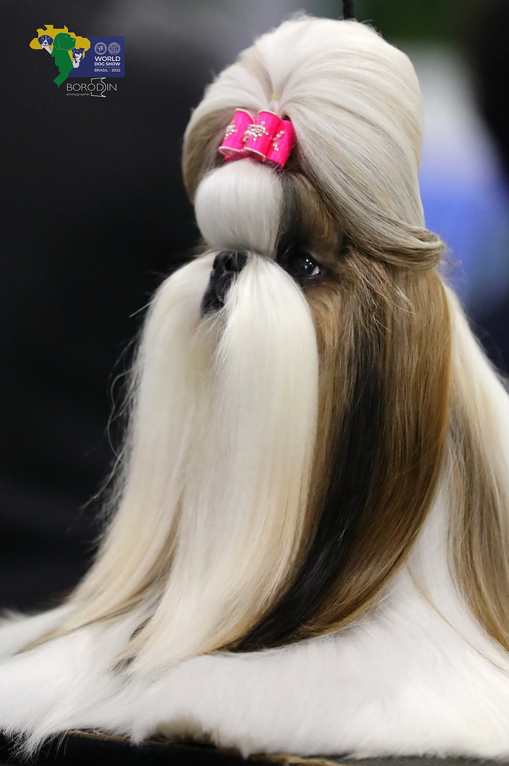 08-11.12.2022 WDS Brazil. Ph Dmitrii Borodin