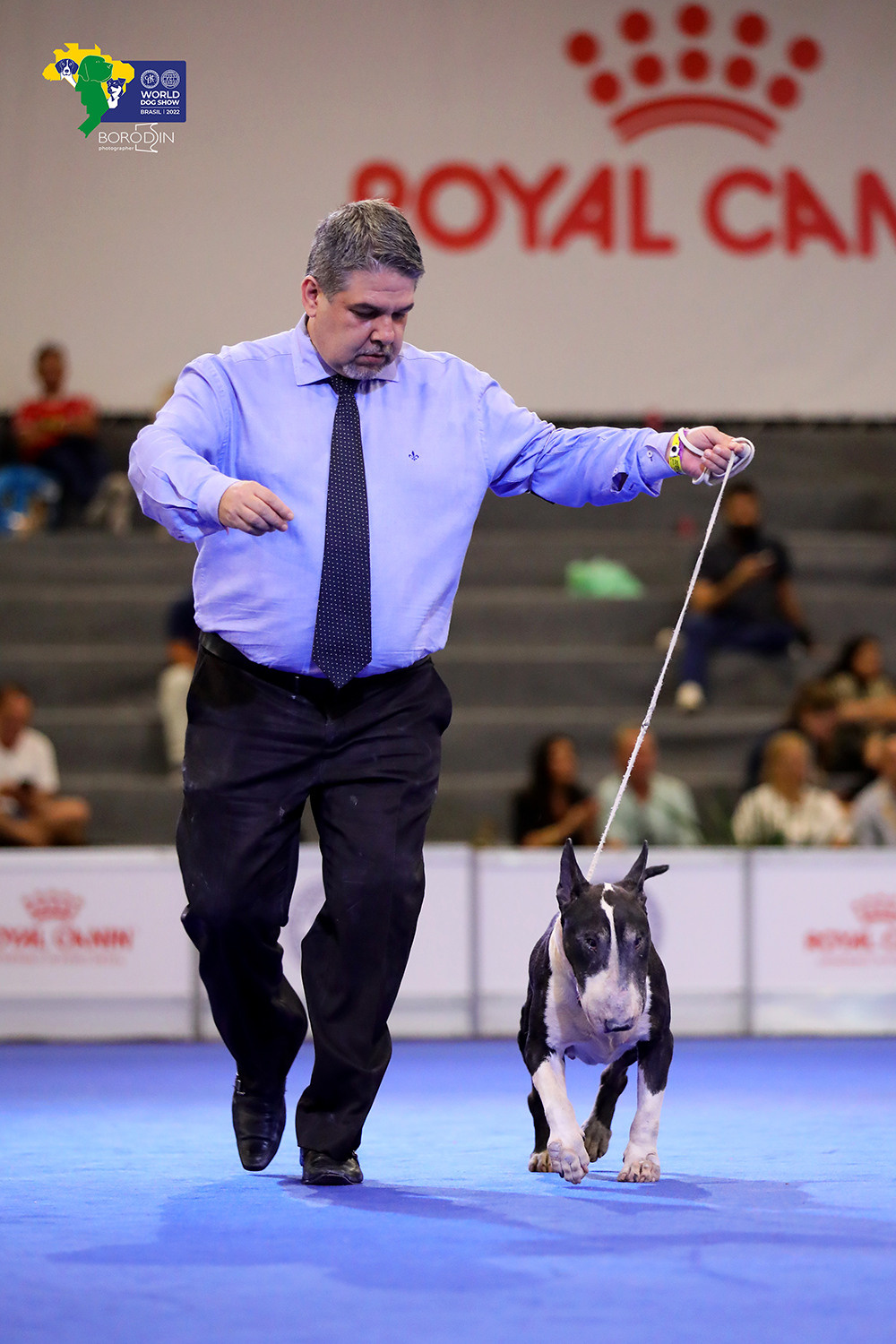 08-11.12.2022 WDS Brazil. Ph Dmitrii Borodin