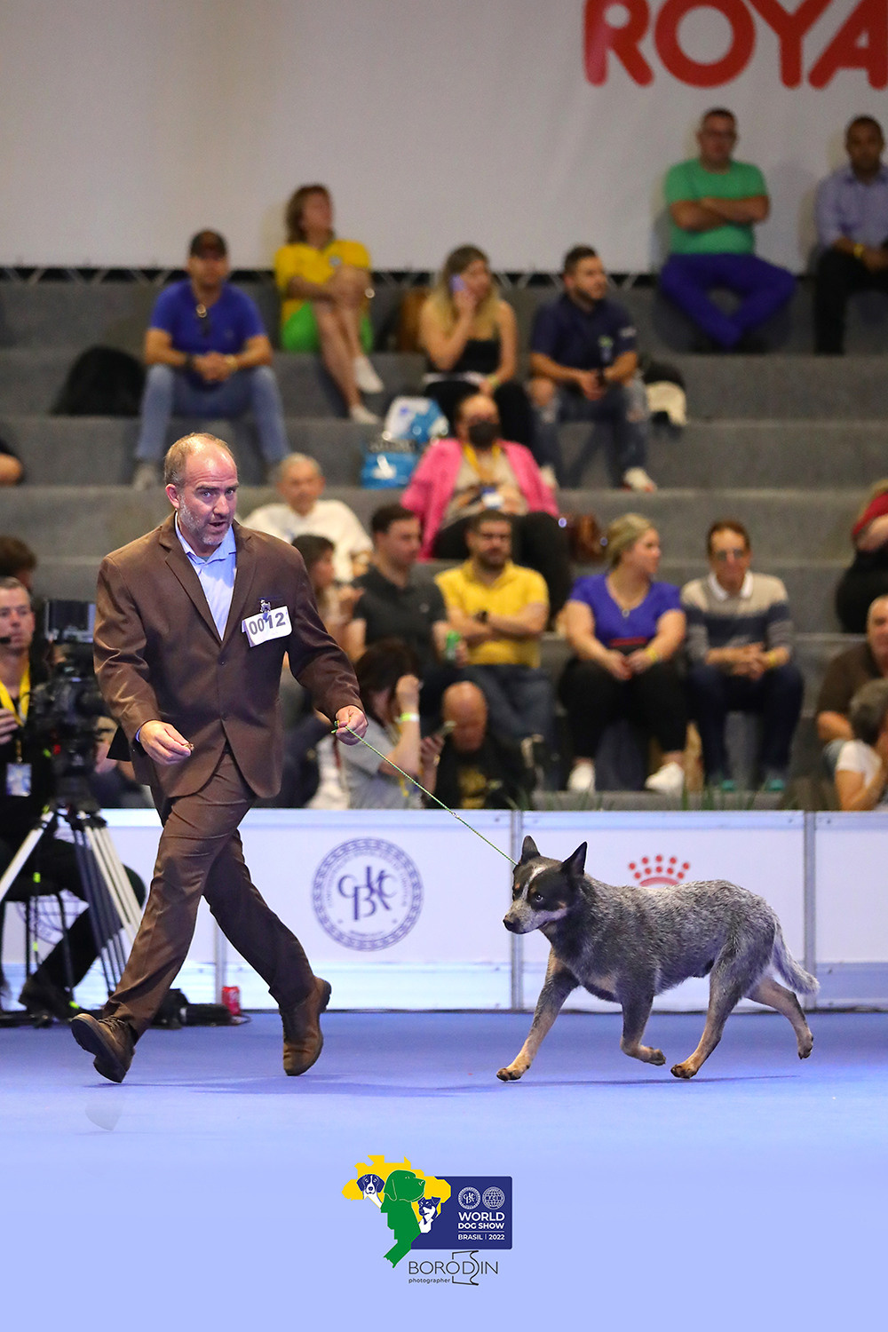 08-11.12.2022 WDS Brazil. Ph Dmitrii Borodin