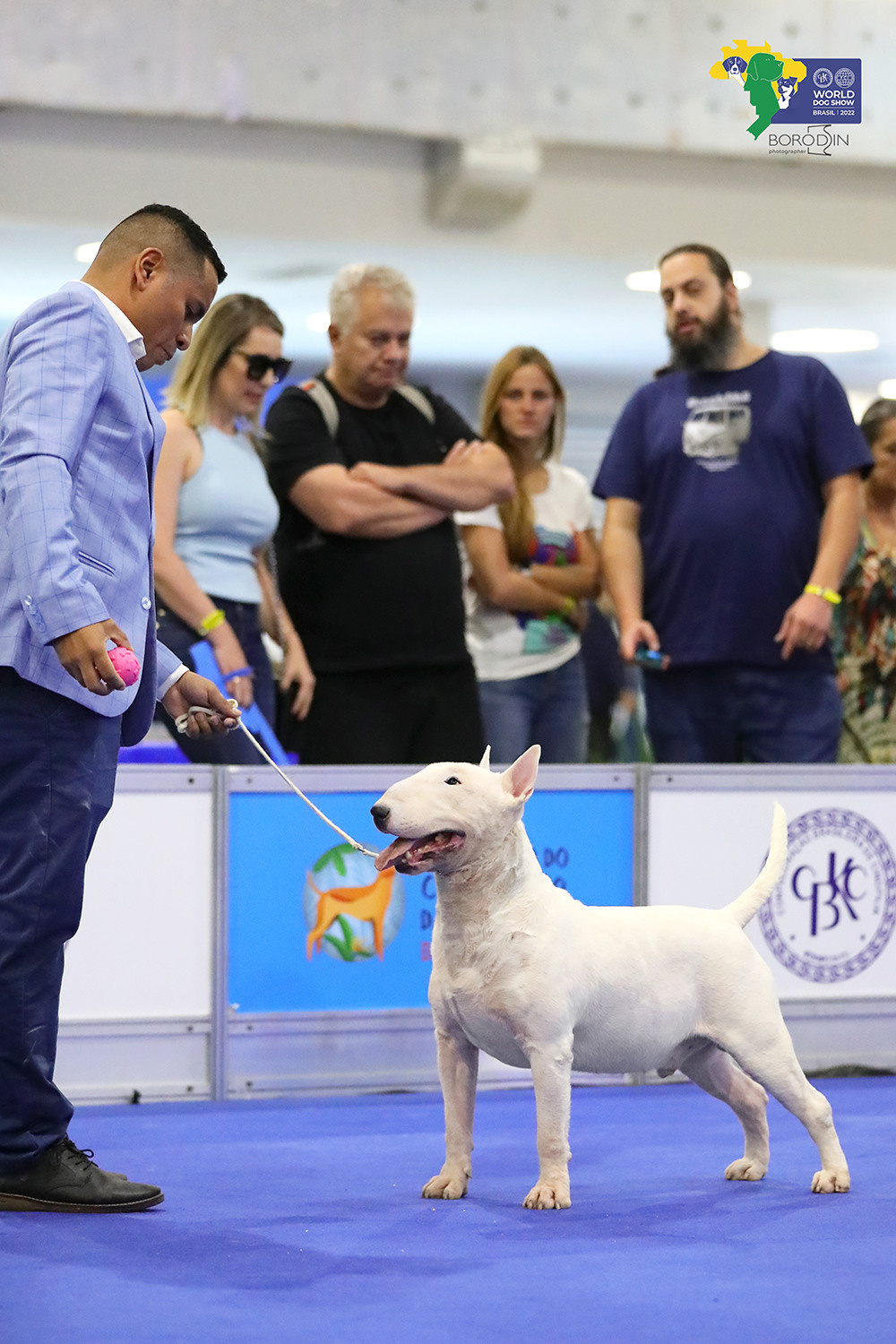 08-11.12.2022 WDS Brazil. Ph Dmitrii Borodin