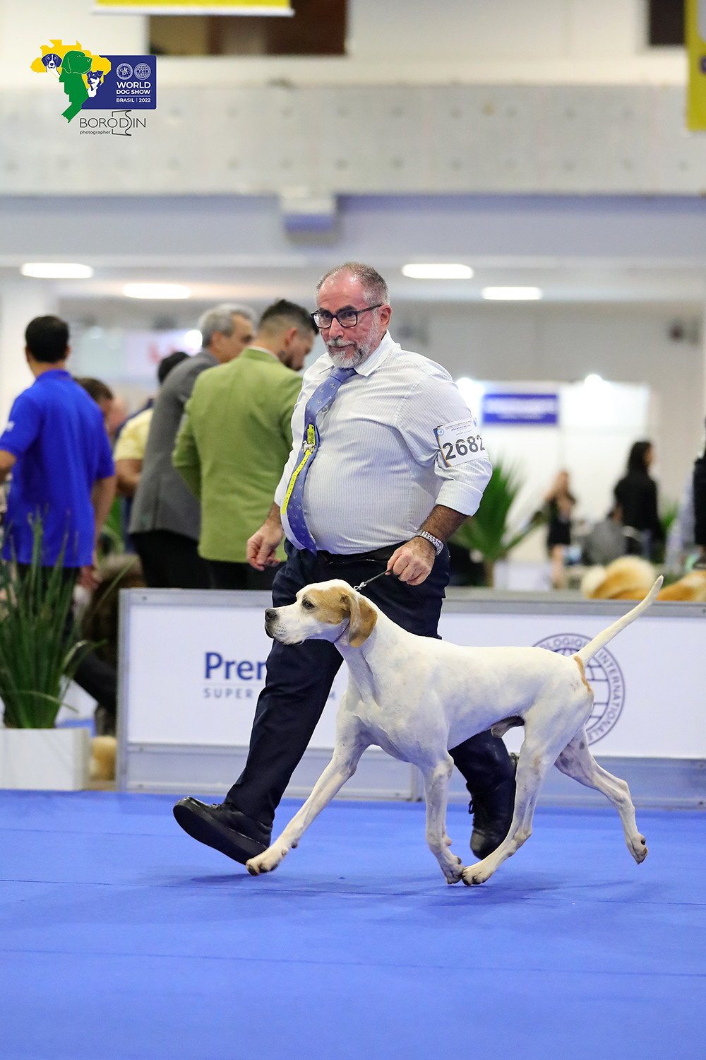 08-11.12.2022 WDS Brazil. Ph Dmitrii Borodin