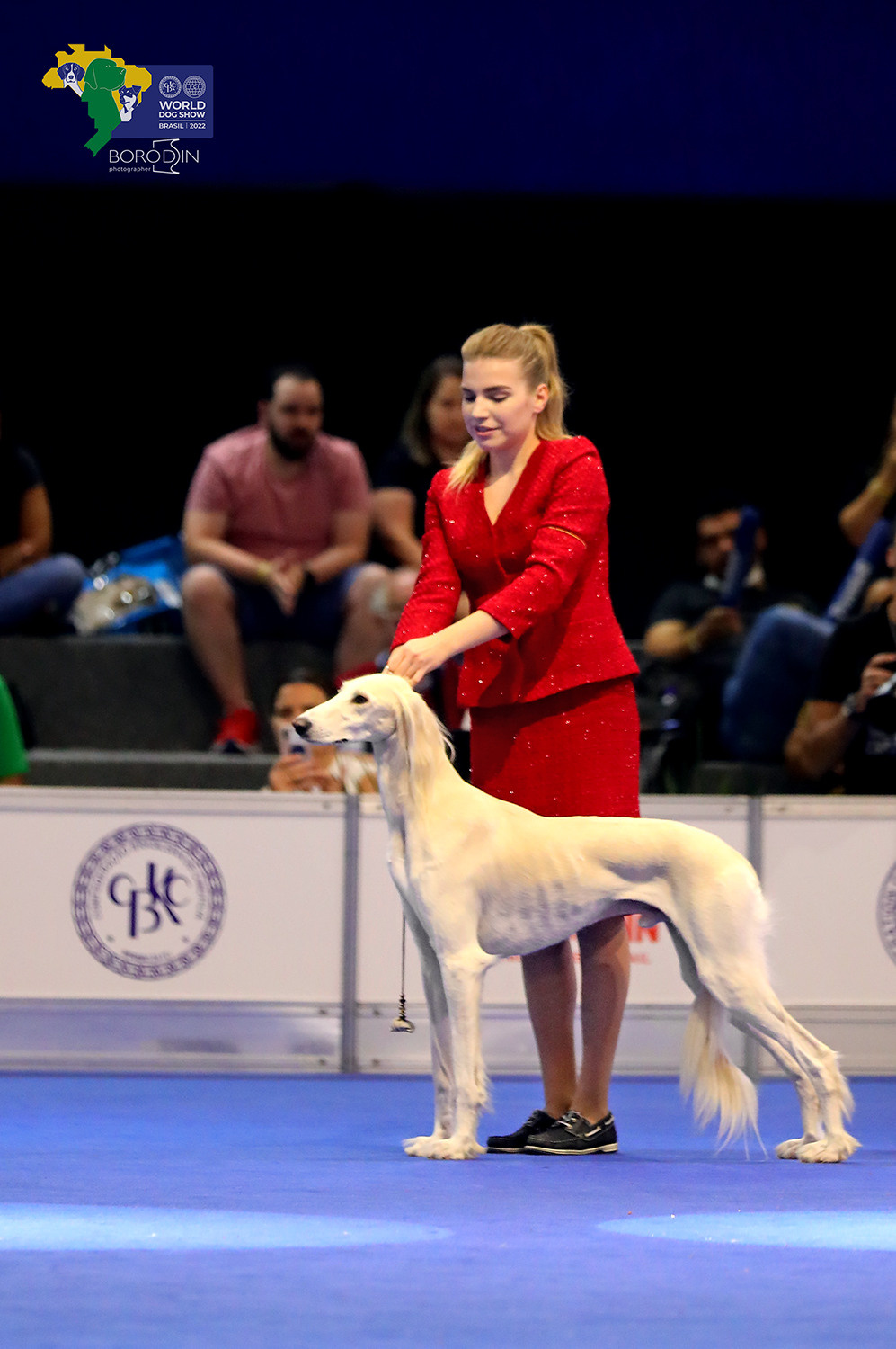 08-11.12.2022 WDS Brazil. Ph Dmitrii Borodin