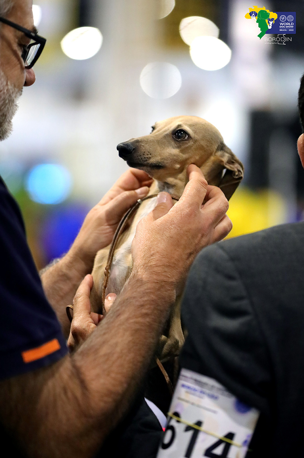 08-11.12.2022 WDS Brazil. Ph Dmitrii Borodin