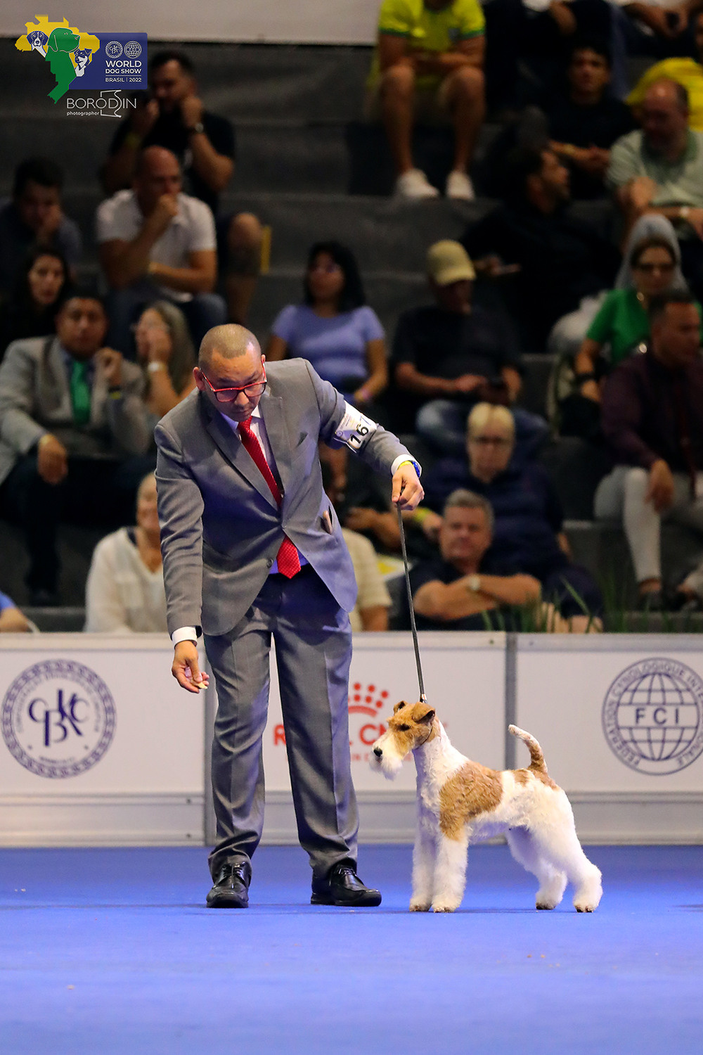 08-11.12.2022 WDS Brazil. Ph Dmitrii Borodin