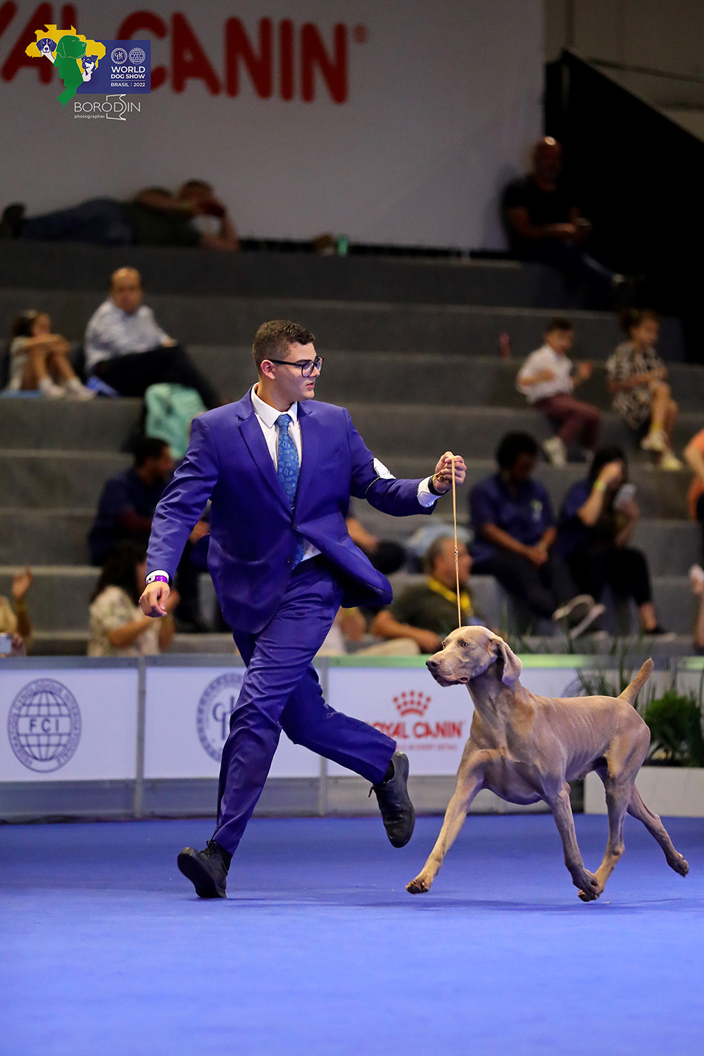 08-11.12.2022 WDS Brazil. Ph Dmitrii Borodin