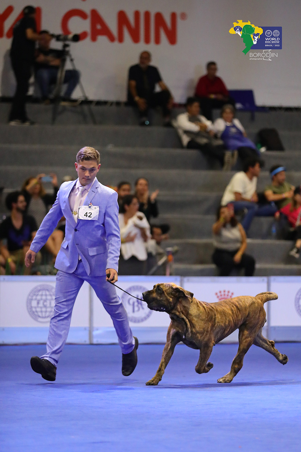 08-11.12.2022 WDS Brazil. Ph Dmitrii Borodin