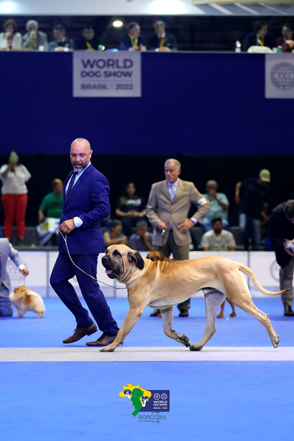 08-11.12.2022 WDS Brazil. Ph Dmitrii Borodin