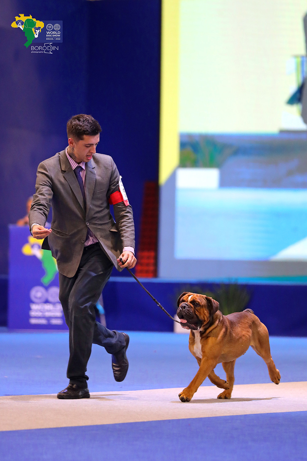 08-11.12.2022 WDS Brazil. Ph Dmitrii Borodin