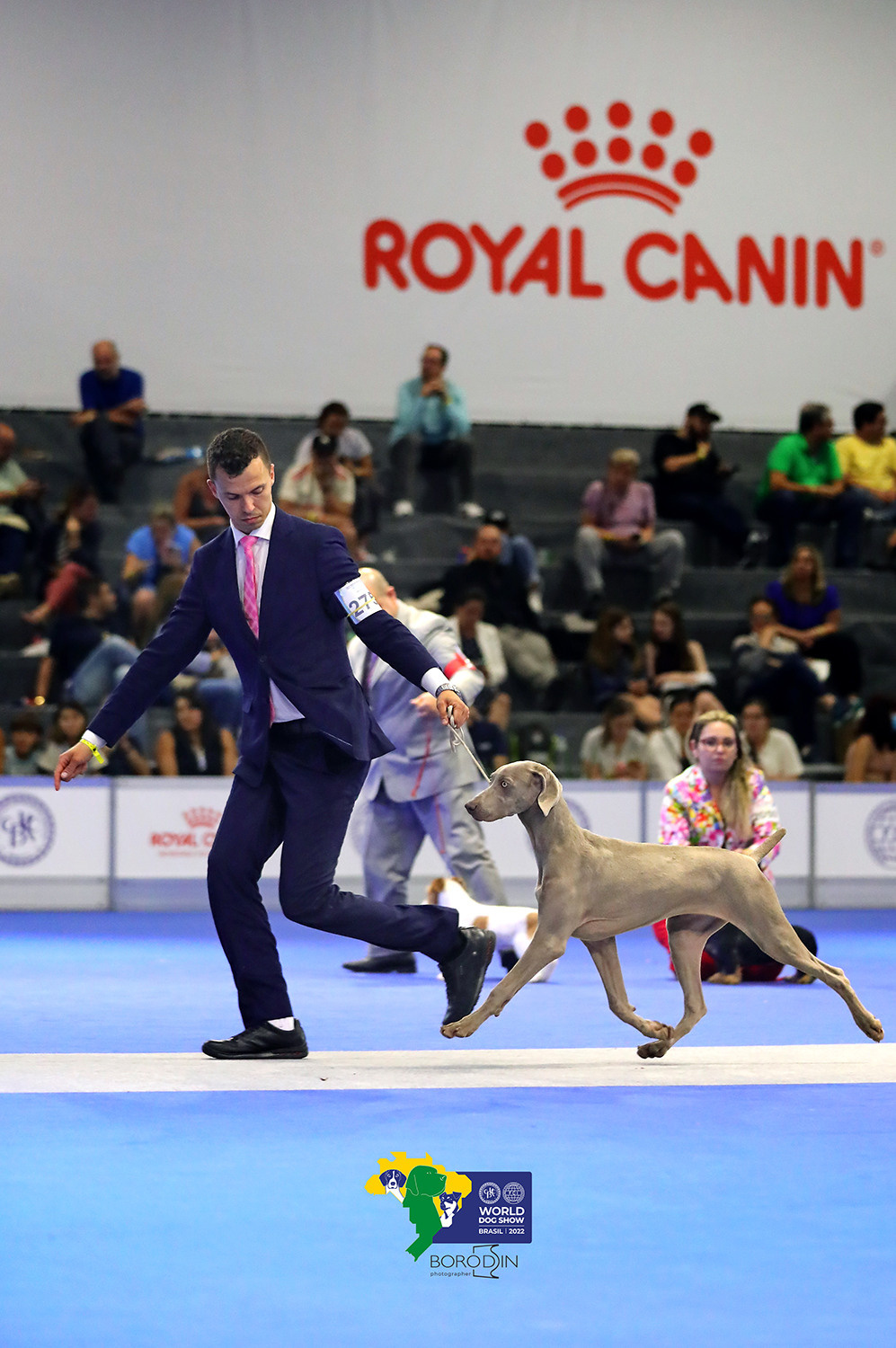 08-11.12.2022 WDS Brazil. Ph Dmitrii Borodin