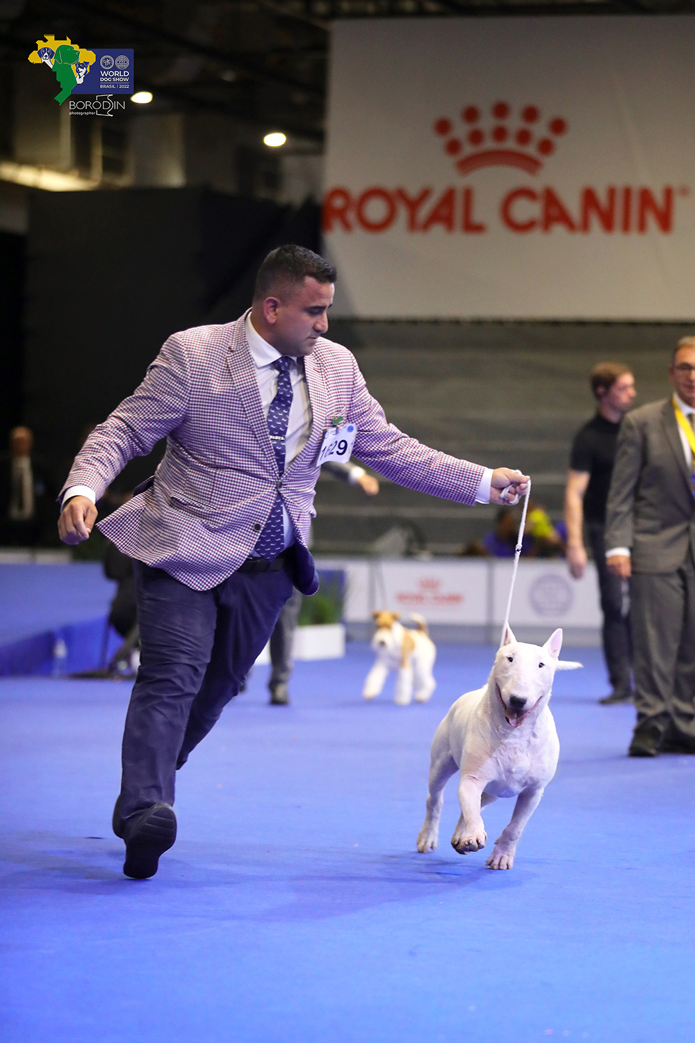 08-11.12.2022 WDS Brazil. Ph Dmitrii Borodin