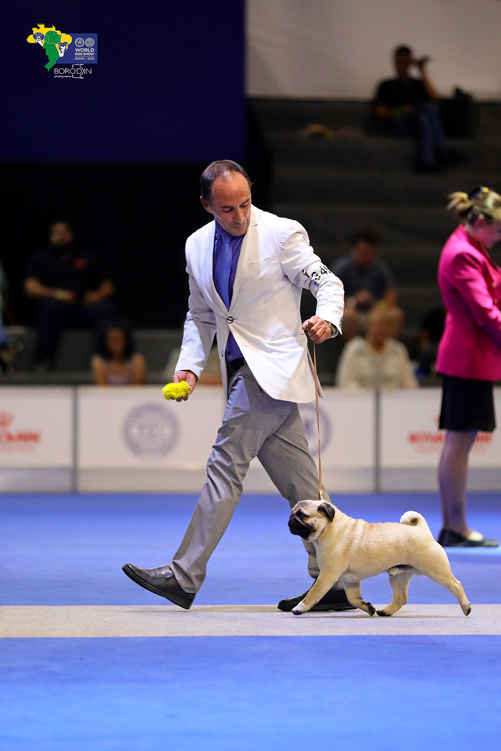 08-11.12.2022 WDS Brazil. Ph Dmitrii Borodin