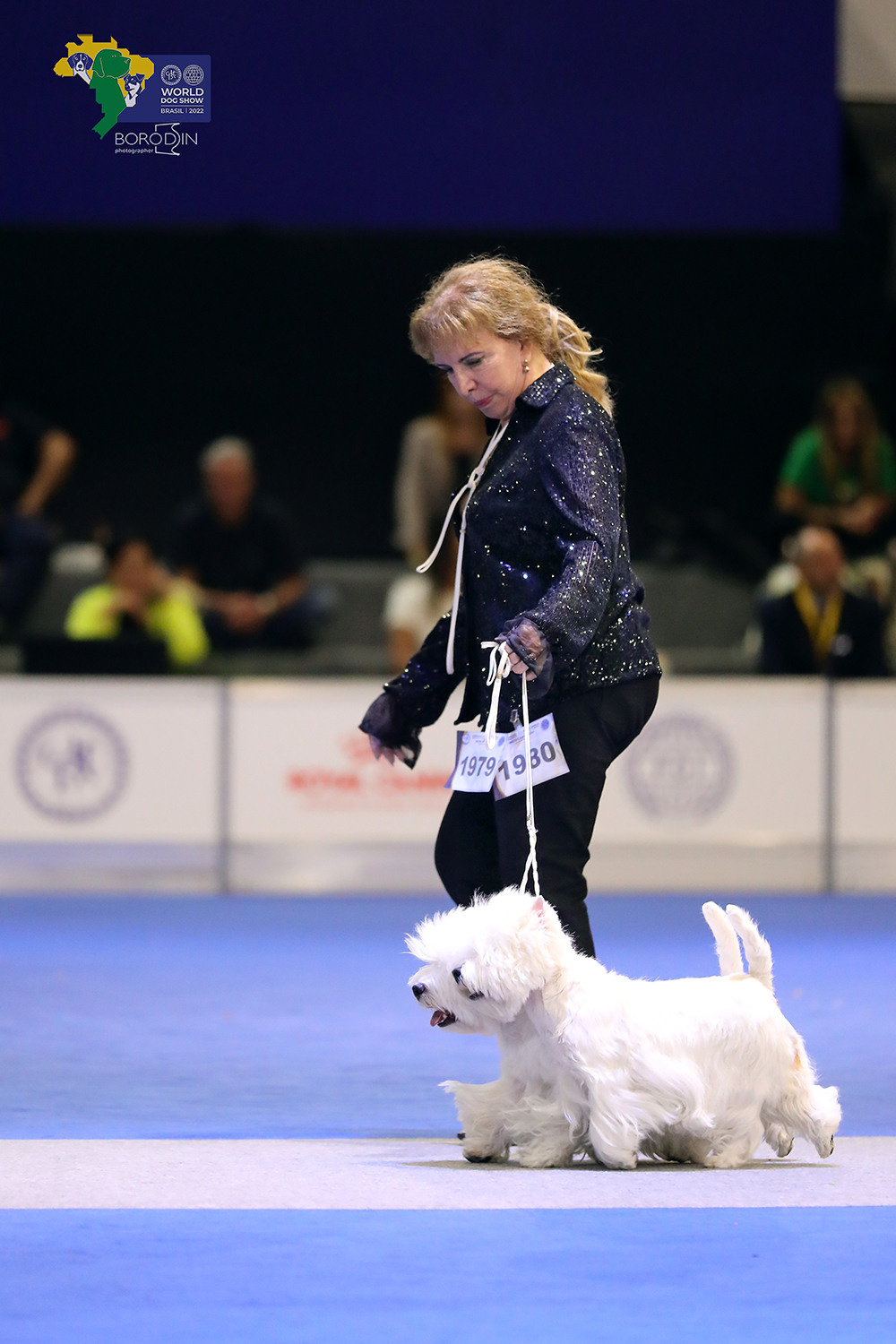 08-11.12.2022 WDS Brazil. Ph Dmitrii Borodin