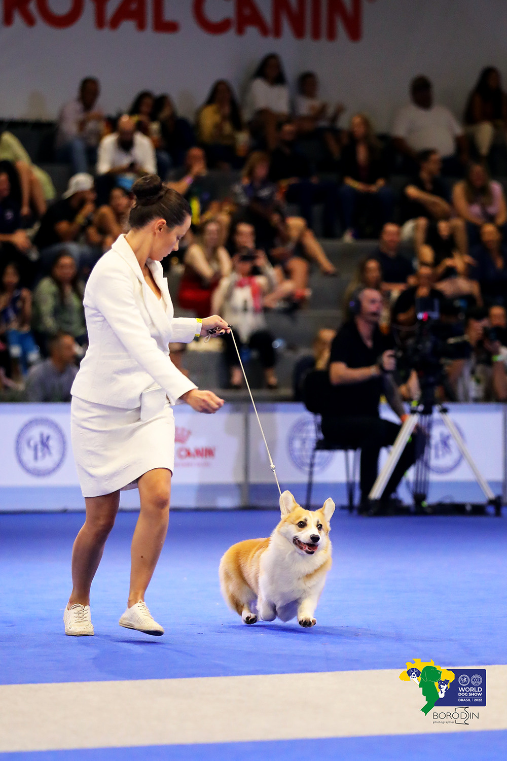 08-11.12.2022 WDS Brazil. Ph Dmitrii Borodin