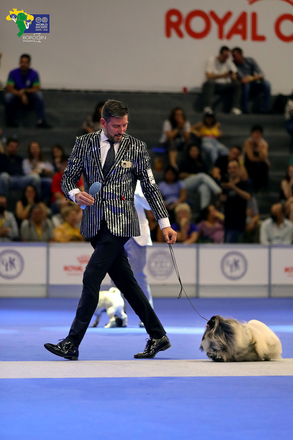 08-11.12.2022 WDS Brazil. Ph Dmitrii Borodin