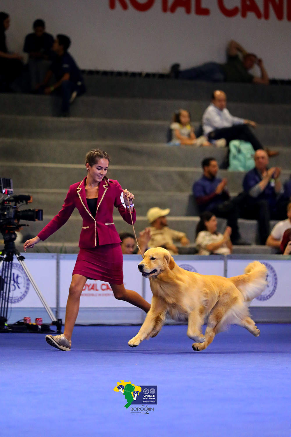 08-11.12.2022 WDS Brazil. Ph Dmitrii Borodin