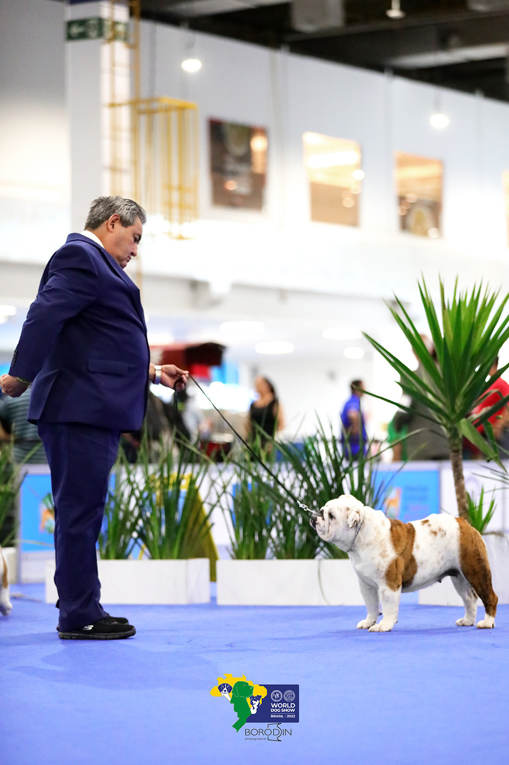 08-11.12.2022 WDS Brazil. Ph Dmitrii Borodin