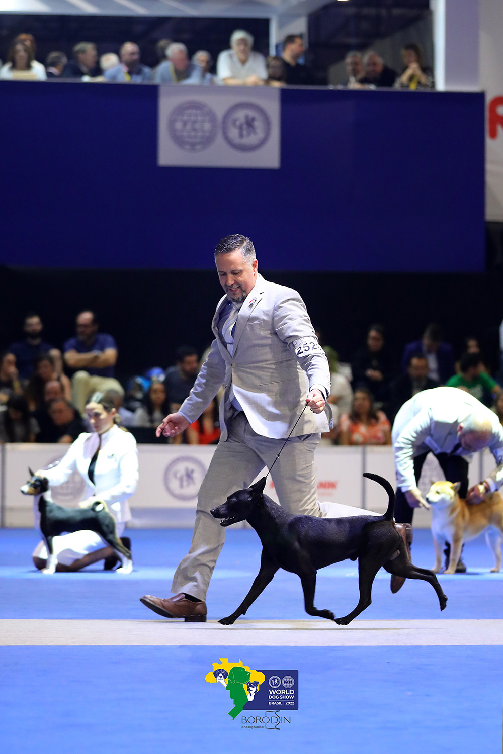 08-11.12.2022 WDS Brazil. Ph Dmitrii Borodin