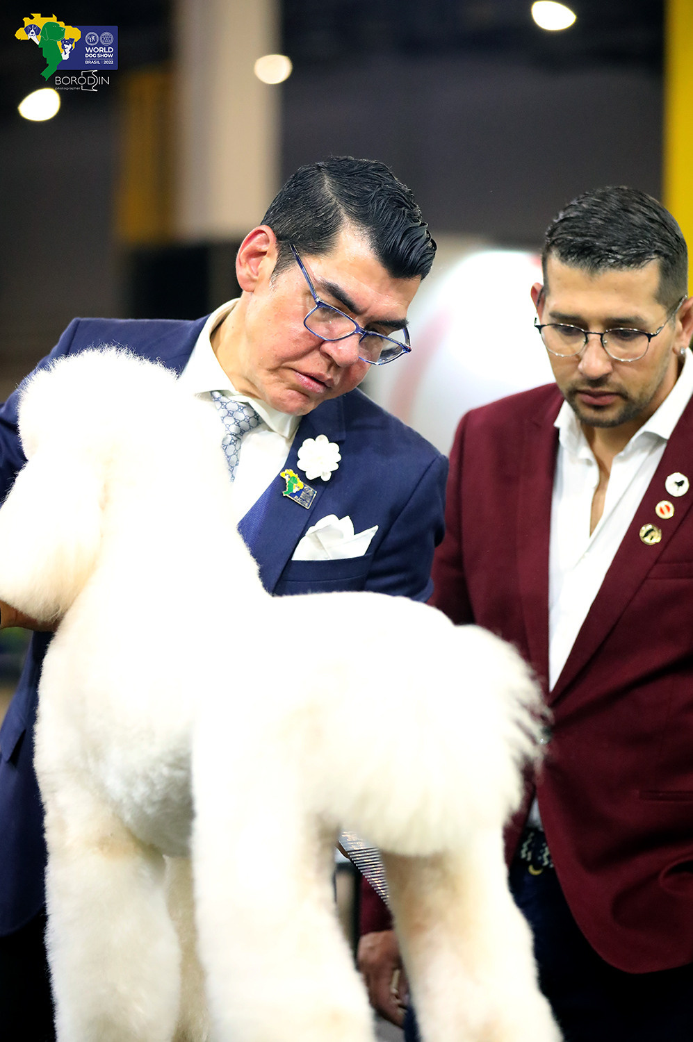 08-11.12.2022 WDS Brazil. Ph Dmitrii Borodin