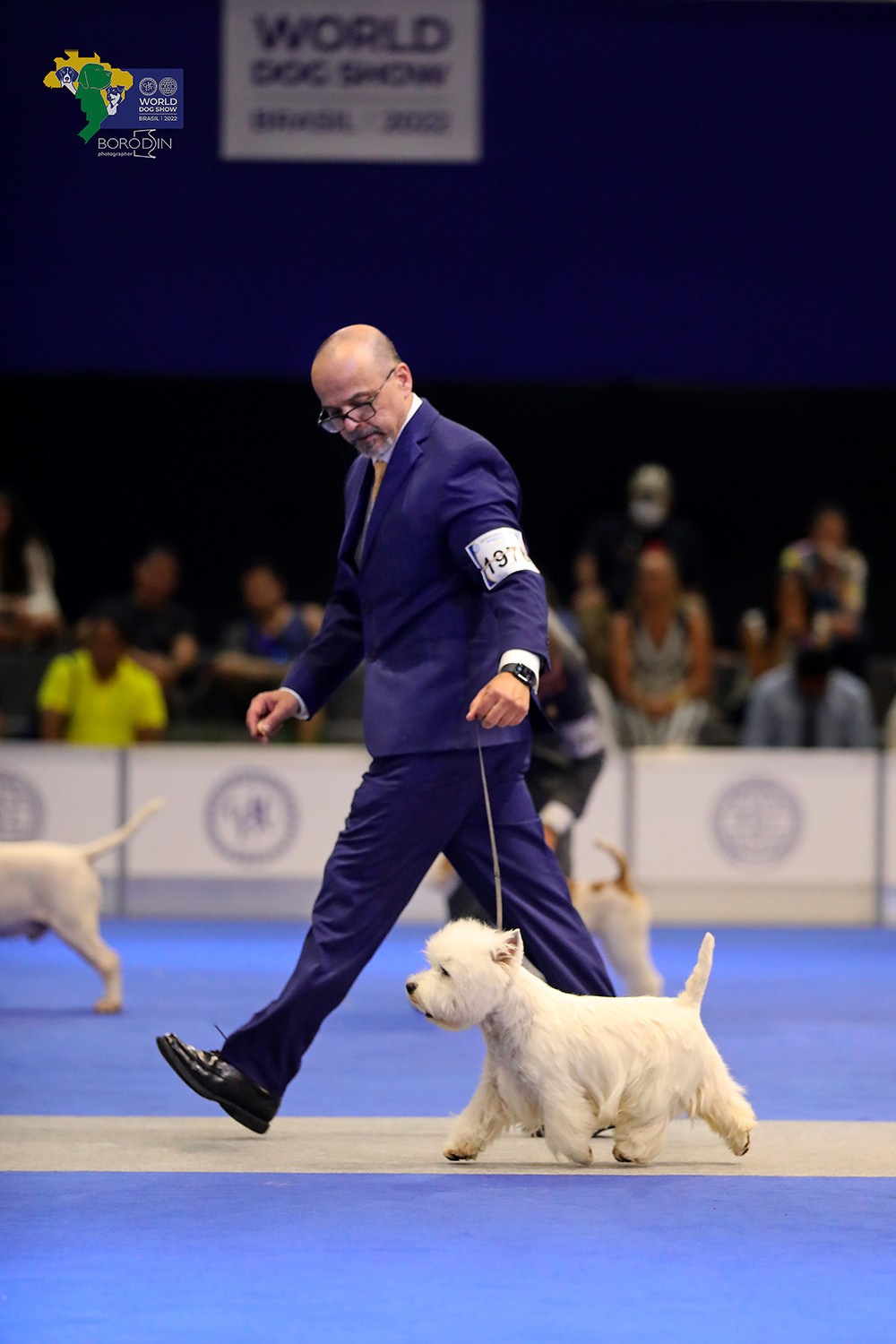 08-11.12.2022 WDS Brazil. Ph Dmitrii Borodin