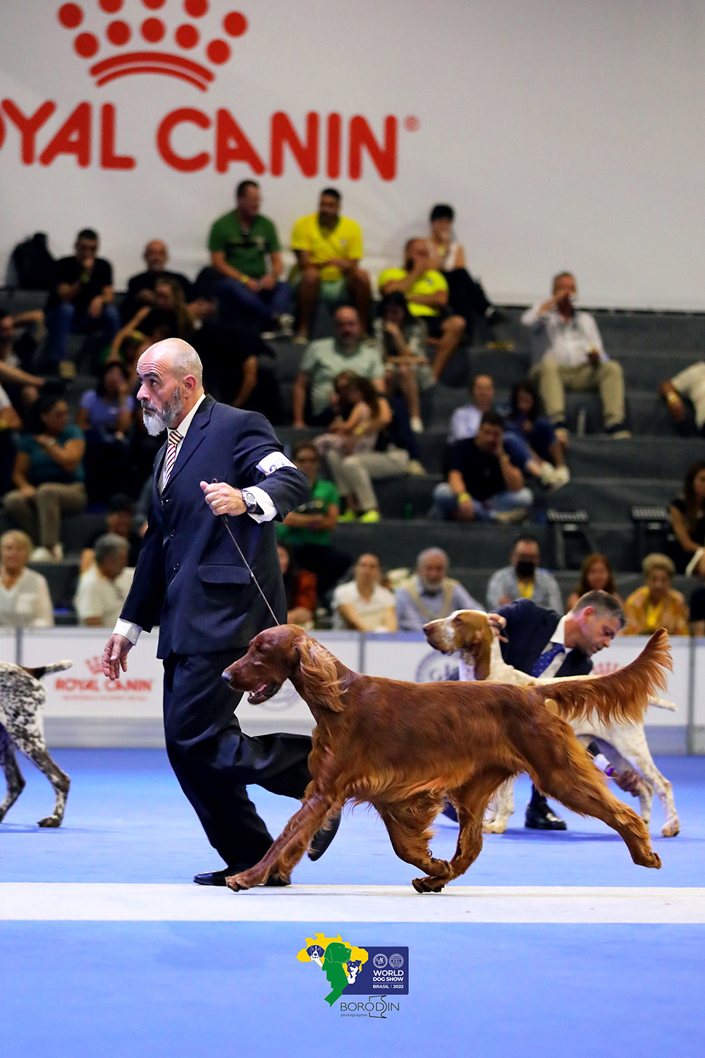 08-11.12.2022 WDS Brazil. Ph Dmitrii Borodin