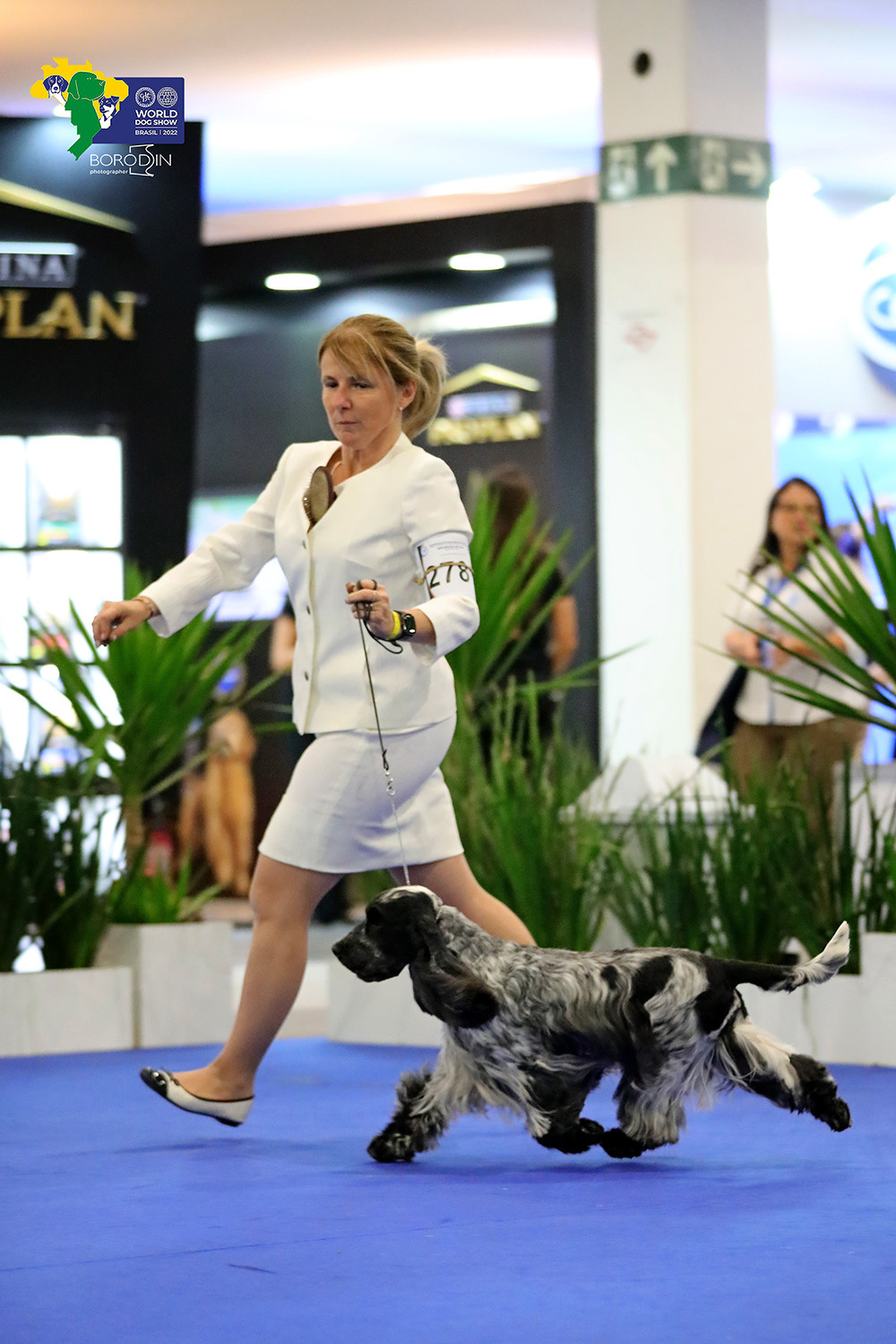 08-11.12.2022 WDS Brazil. Ph Dmitrii Borodin