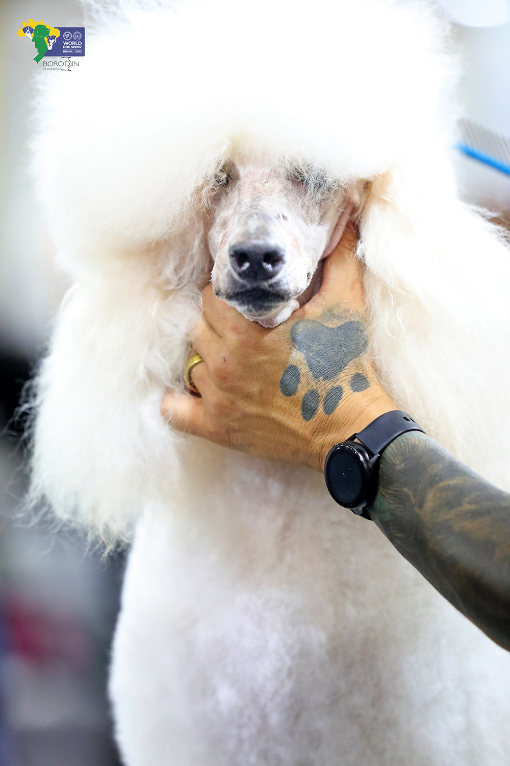 08-11.12.2022 WDS Brazil. Ph Dmitrii Borodin