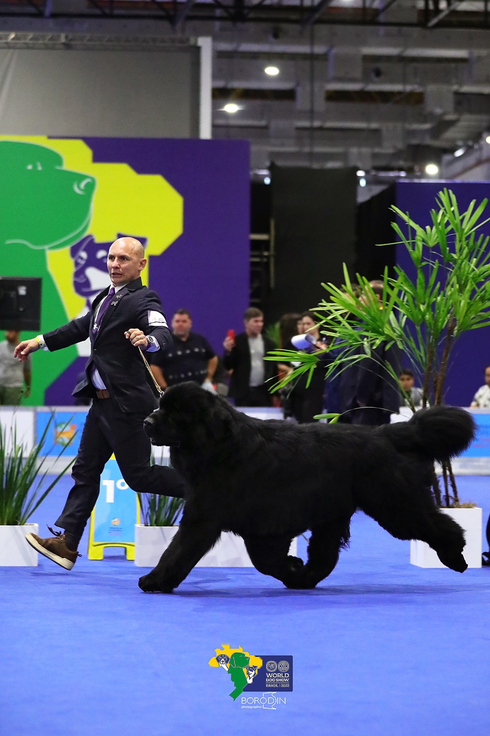 08-11.12.2022 WDS Brazil. Ph Dmitrii Borodin