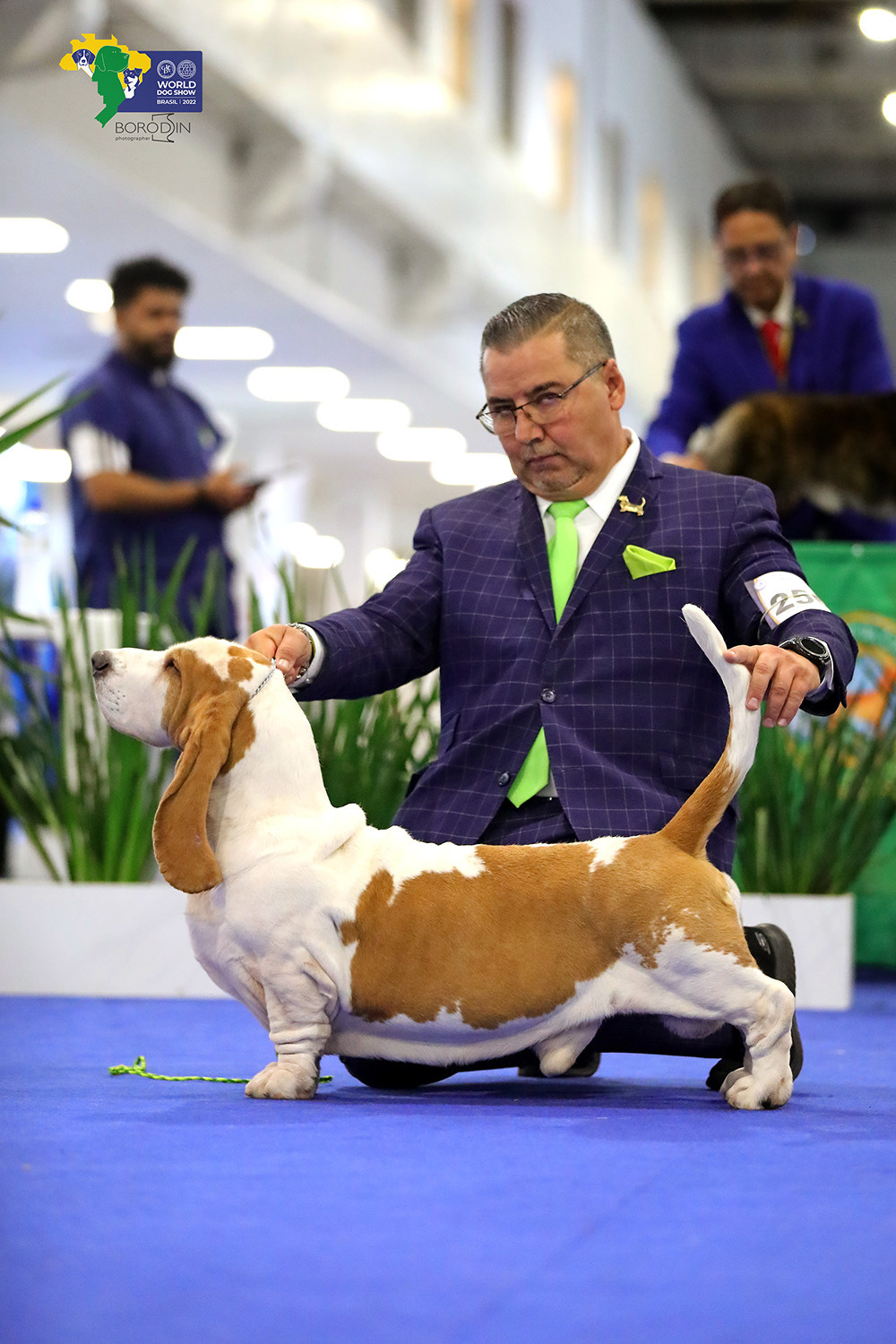 08-11.12.2022 WDS Brazil. Ph Dmitrii Borodin