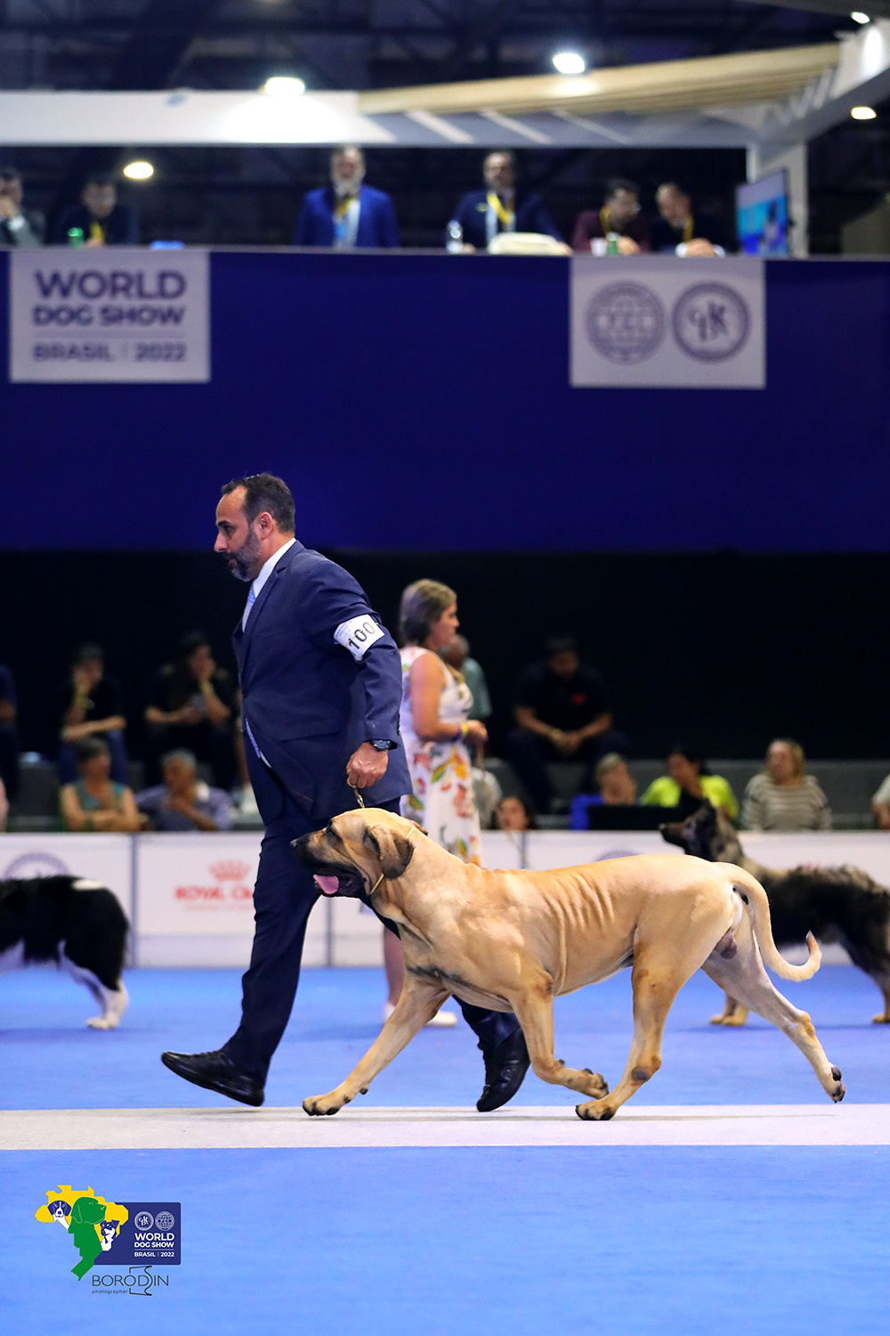 08-11.12.2022 WDS Brazil. Ph Dmitrii Borodin