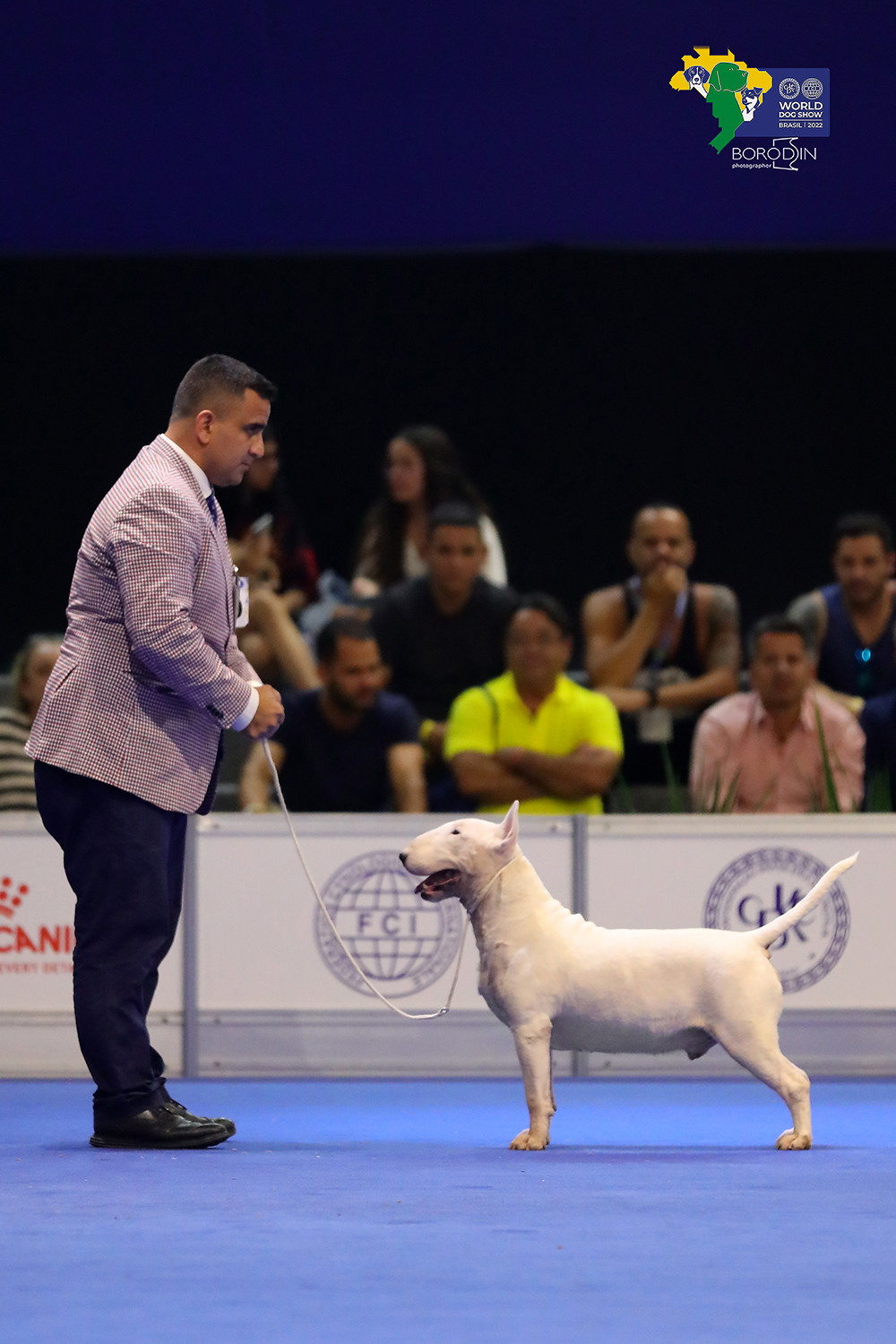 08-11.12.2022 WDS Brazil. Ph Dmitrii Borodin