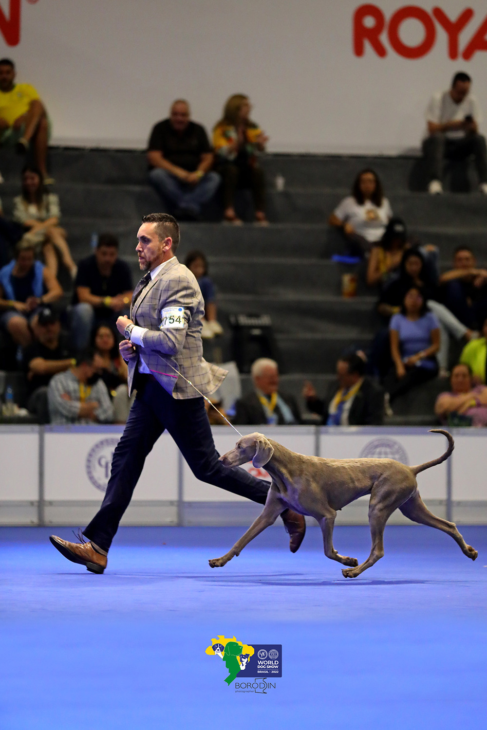 08-11.12.2022 WDS Brazil. Ph Dmitrii Borodin