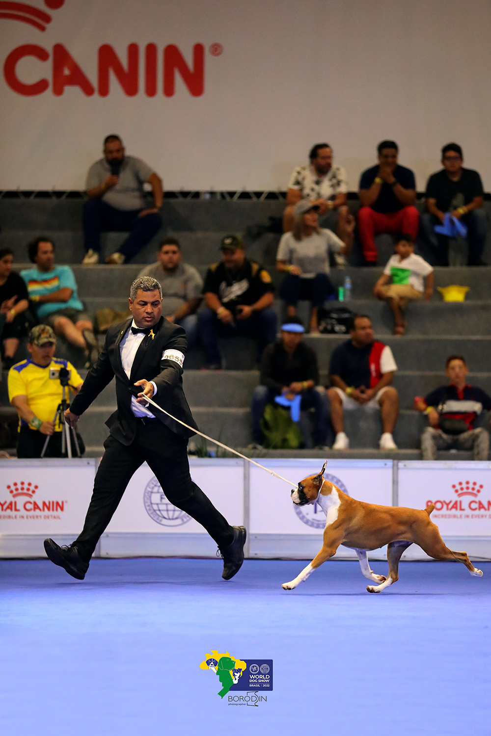 08-11.12.2022 WDS Brazil. Ph Dmitrii Borodin